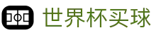 FIFA世界杯买球FIFA · 网页版/客户端app下载